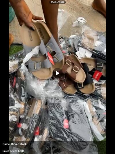 Birken stock