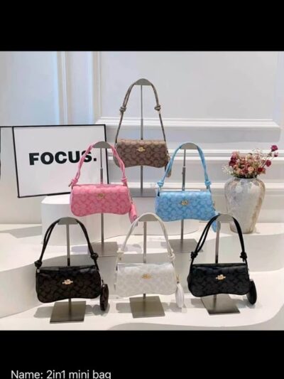 2in1 mini bag